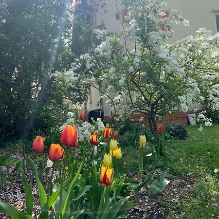 Blumenblick Rielasingen-Worblingen