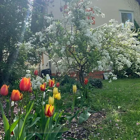 شقة Blumenblick Rielasingen-Worblingen