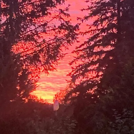 Blumenblick *