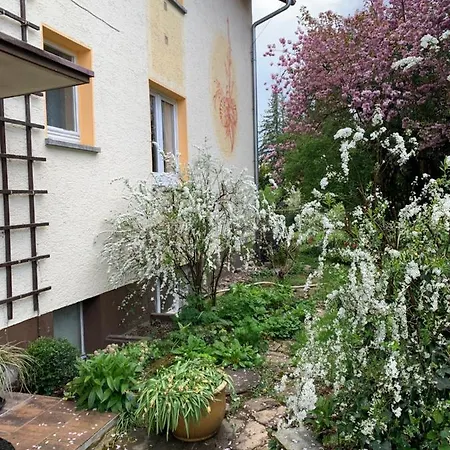 Blumenblick Apartmán *
