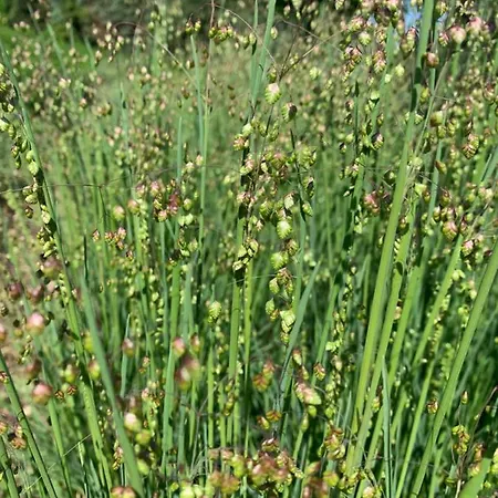 Blumenblick شقة *