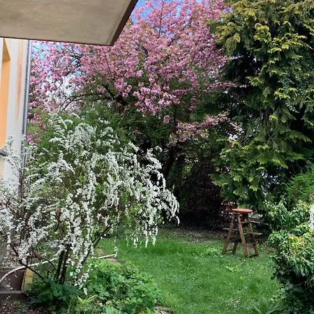 Blumenblick