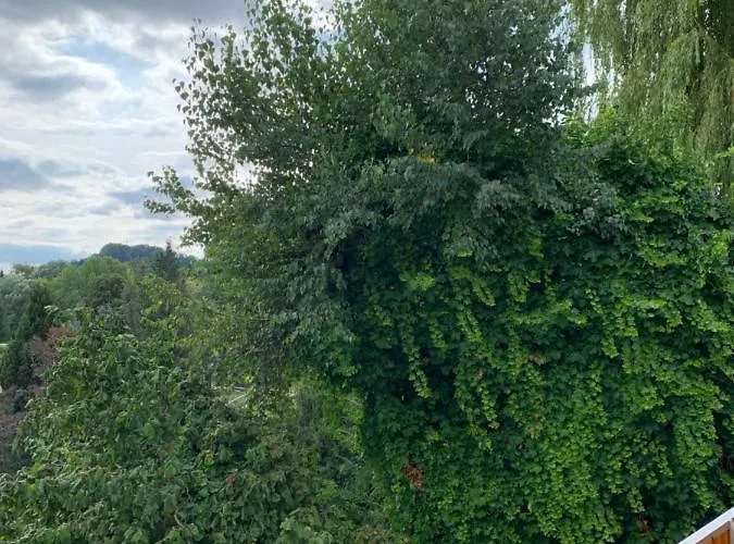 Blumenblick Apartment Rielasingen-Worblingen