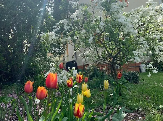 Blumenblick Rielasingen-Worblingen