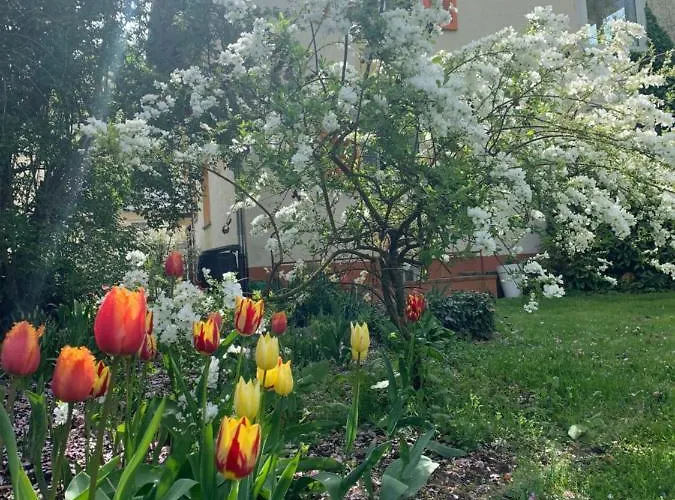 Apartment Blumenblick Rielasingen-Worblingen